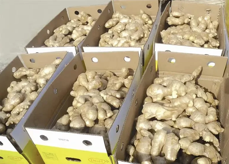 What export buyers actually check when they buy Ghanaian ginger