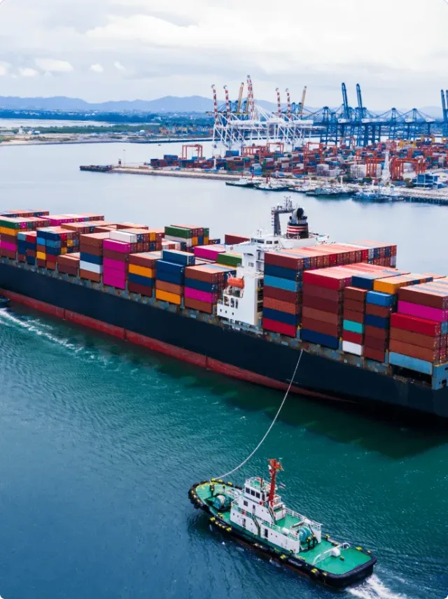 Import & export coordination